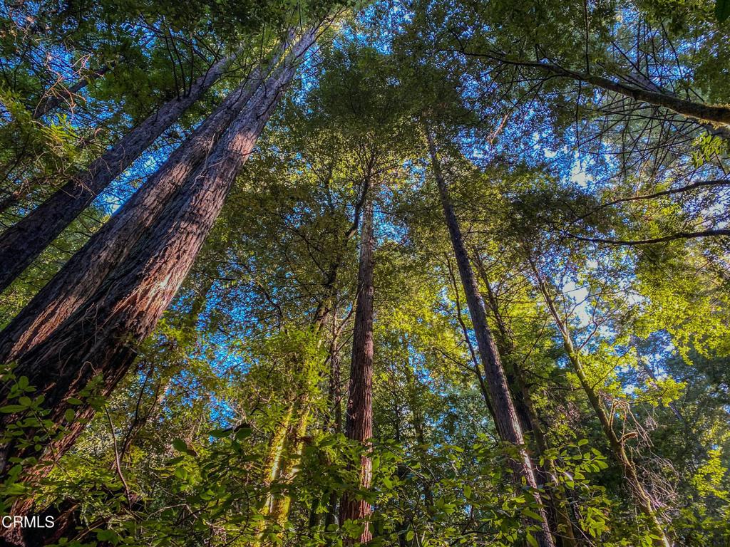 0 Irmulco Road Willits, CA 95490 - Photo 3 of 41 tempImage5TQ9Zz