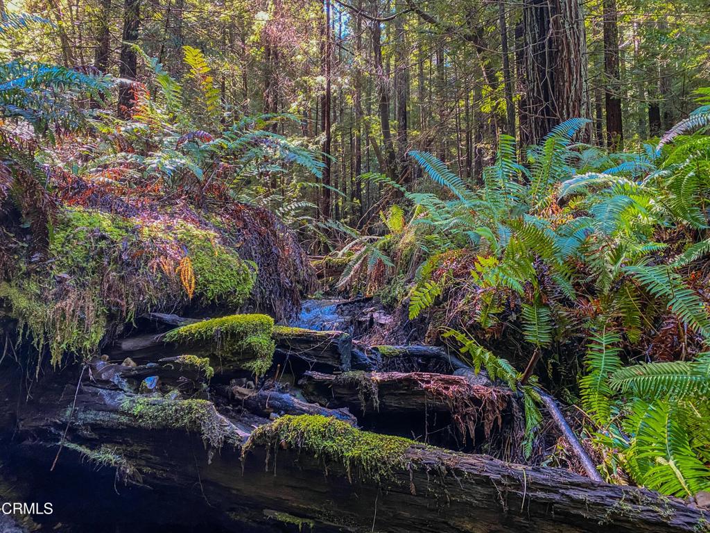 0 Irmulco Road Willits, CA 95490 - Photo 31 of 41 tempImageUh5pnx