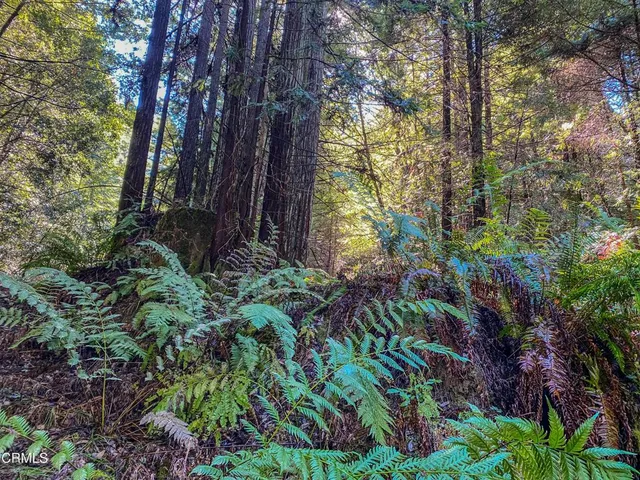 $1,500,000 | 0 Irmulco Road, Willits, CA 95490