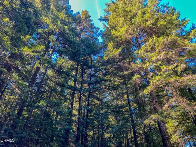 $1,500,000 | 0 Irmulco Road, Willits, CA 95490