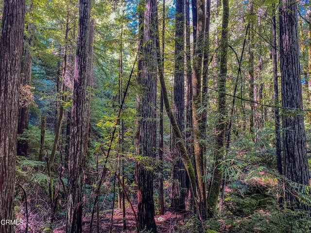 $1,500,000 | 0 Irmulco Road, Willits, CA 95490