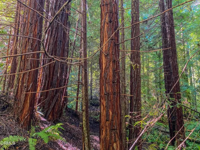 $1,500,000 | 0 Irmulco Road, Willits, CA 95490