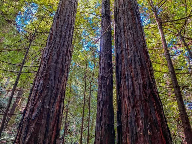 $1,500,000 | 0 Irmulco Road, Willits, CA 95490