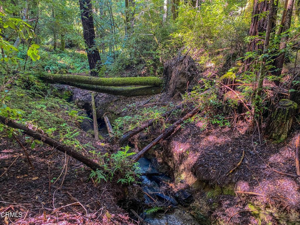 0 Irmulco Road Willits, CA 95490 - Photo 5 of 41 tempImageDFM2Be