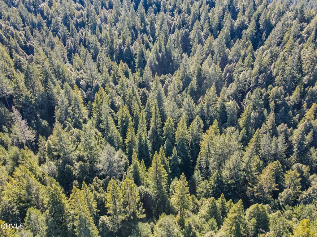 0 Irmulco Road Willits, CA 95490 - Photo 7 of 41 tempImagebweznw