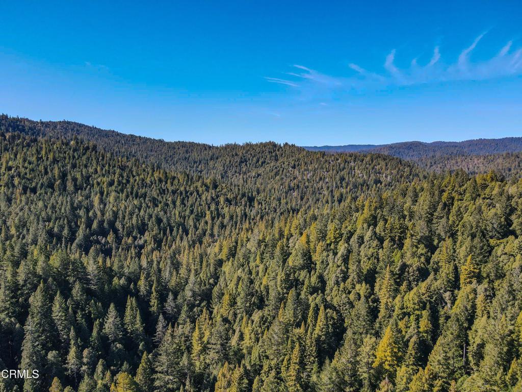 0 Irmulco Road Willits, CA 95490 - Photo 8 of 41 tempImagewz9Dl6