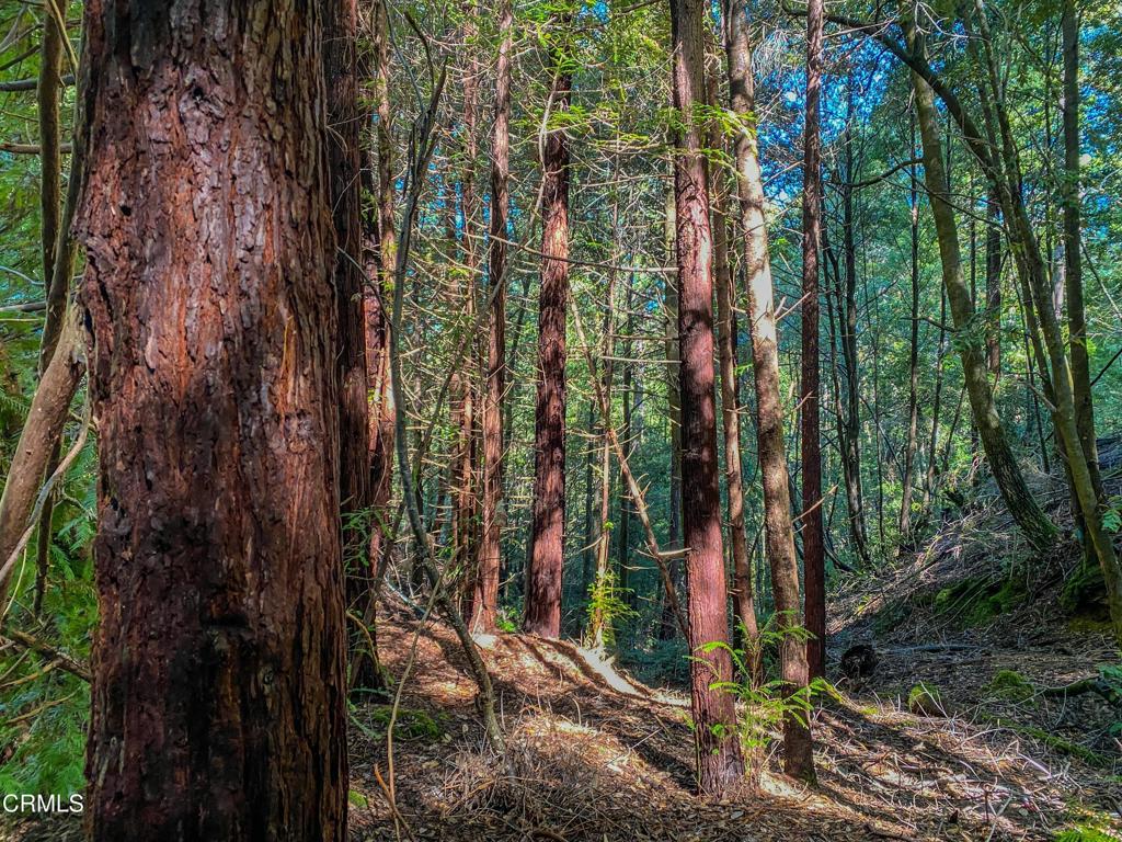 0 Irmulco Road Willits, CA 95490 - Photo 10 of 41 tempImagexo2DNY