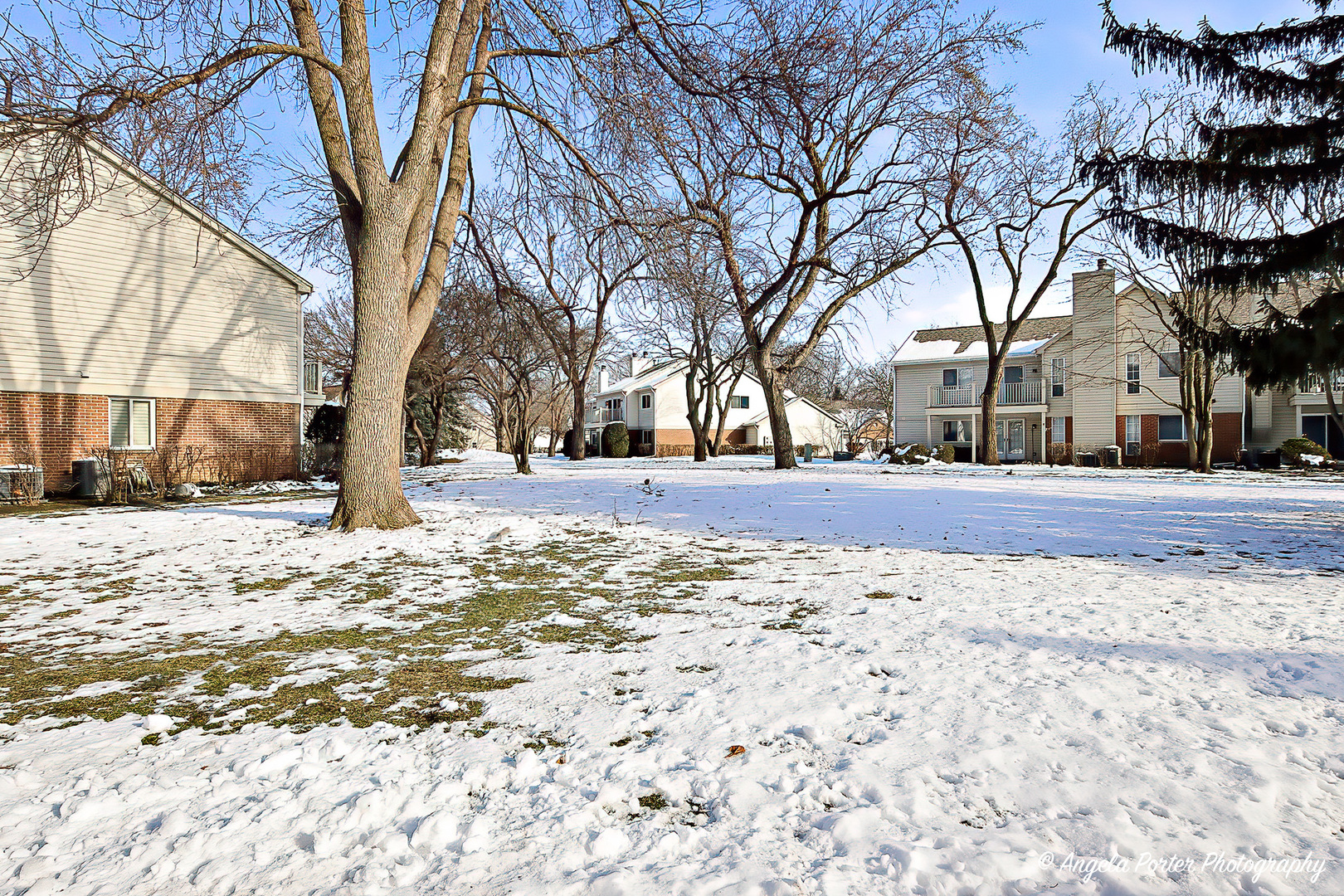 1516 Camden Court, Unit A1 Wheeling, IL 60090 - Photo 17 of 25 a street view with large trees
