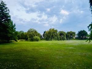 1516 Camden Court, Unit A1 Wheeling, IL 60090 - Photo 23 of 25 a backyard of a house with lots of green space