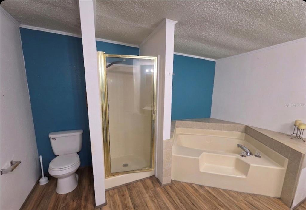 4738 Southwest 166th Court Road Ocala, FL 34481 - Photo 8 of 14 a bathroom with a bathtub and a toilet