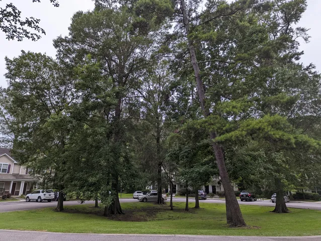 $1,900 | 202 Twin Tree Drive, Summerville, SC 29485