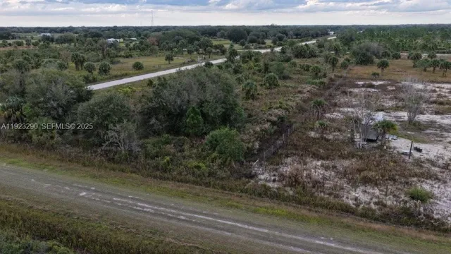 a view of a city with lush green forest