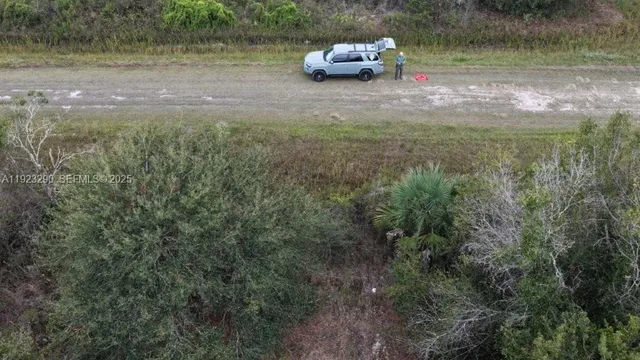 a view of a forest with trees all around