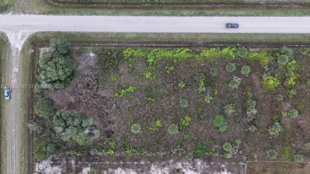 a view of a yard with plants and a bench