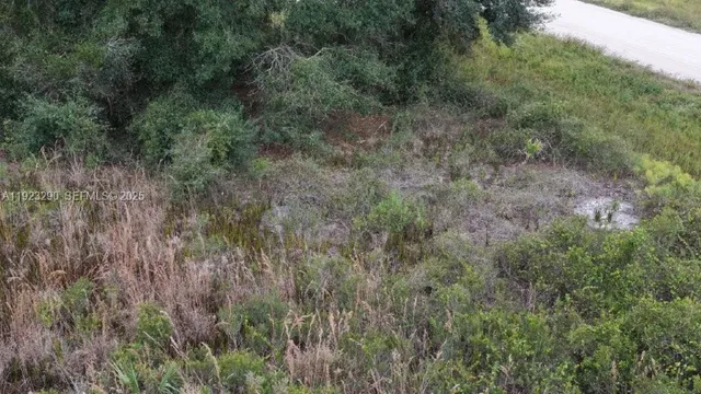 a view of a city with lush green forest