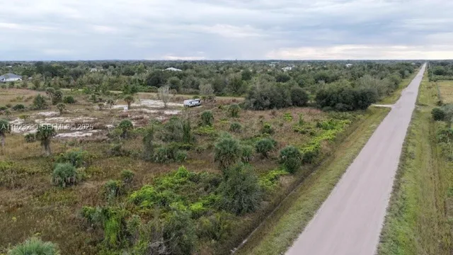 a view of a lush green forest