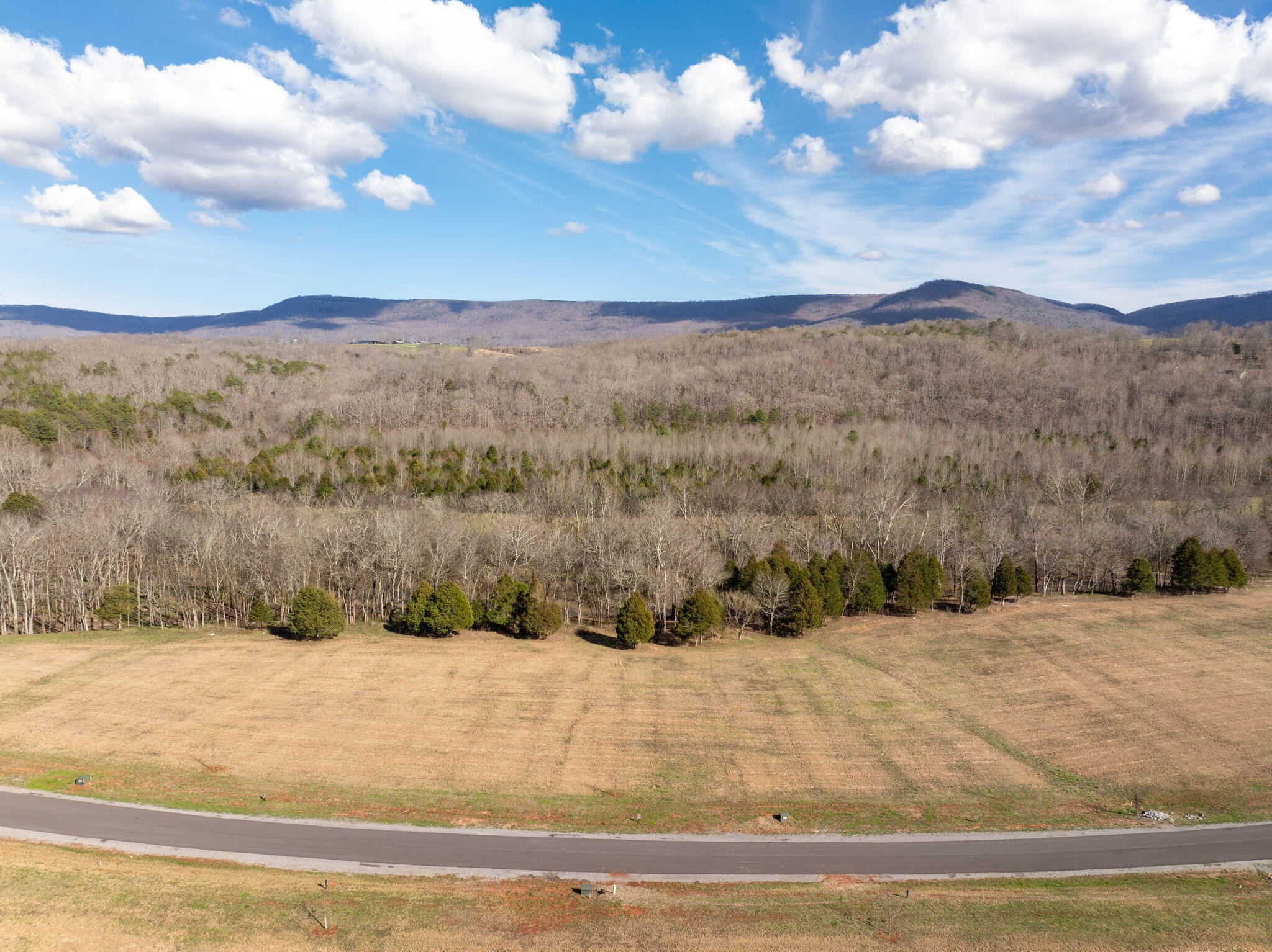 55 River Ridge Drive Dunlap, TN 37327 - Photo 7 of 11 a view of a dry yard