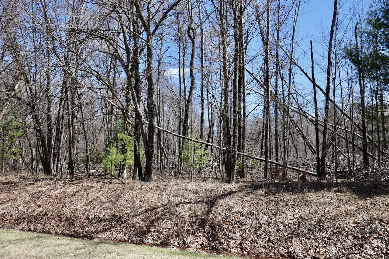 1697 Wildwood Road Sterling, MI 48659 - Photo 81 of 85