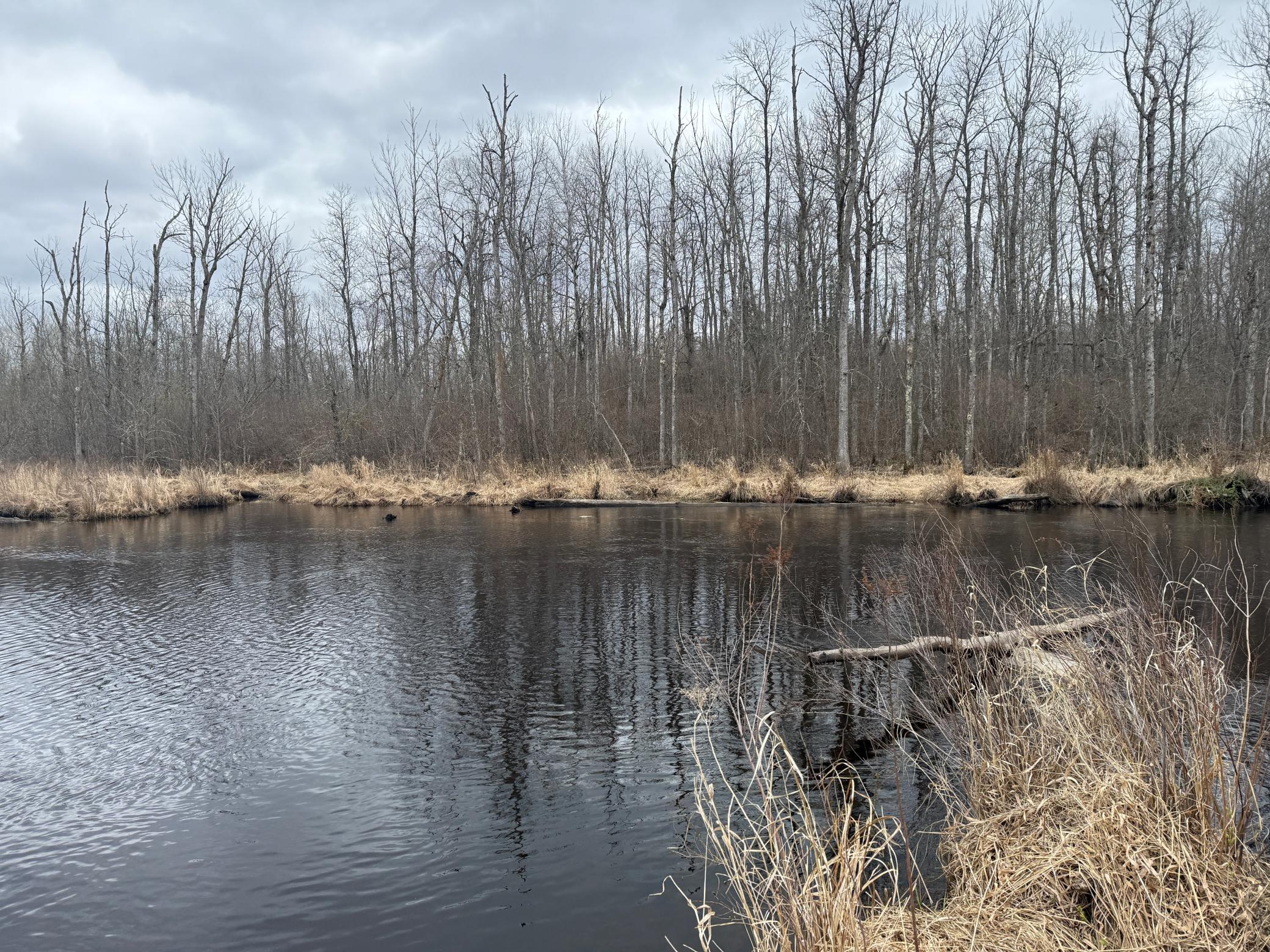 3854 Rasmussen Road Wright, MN 55798 - Photo 74 of 98