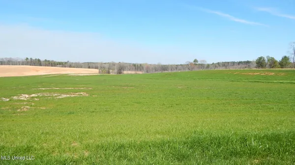 $59,900 | 6 Graysport Crossing Road, Gore Springs, MS 38929