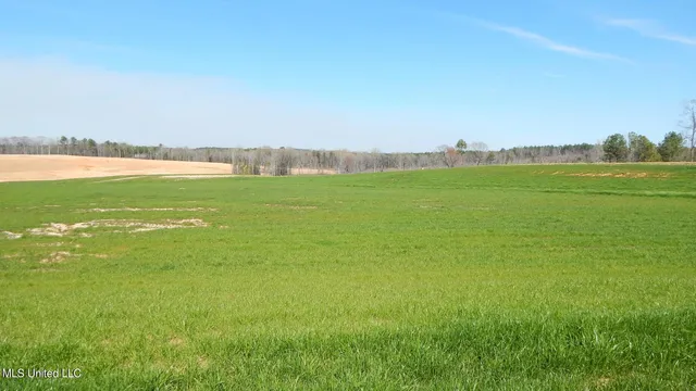 $59,900 | 6 Graysport Crossing Road, Gore Springs, MS 38929