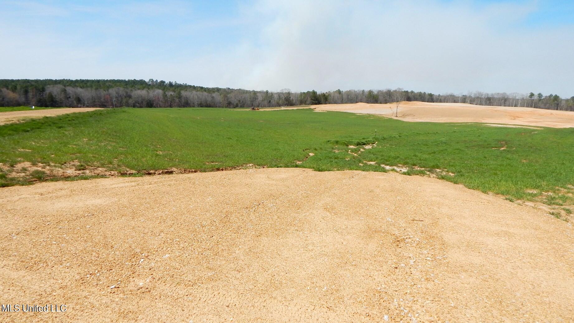 6 Graysport Crossing Road Gore Springs, MS 38929 - Photo 2 of 9 DSCN4980