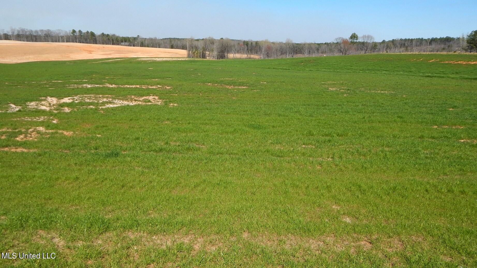 6 Graysport Crossing Road Gore Springs, MS 38929 - Photo 3 of 9 DSCN4979