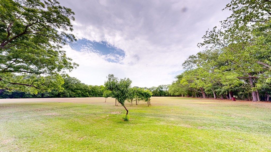 442 Hicks Road Dothan, AL 36303 - Photo 45 of 49