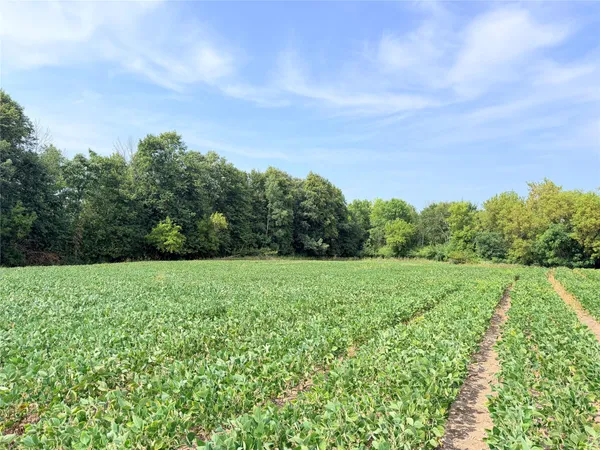 $110,000 | 11.97-acres 230th Street, St. Croix Falls, WI 54024