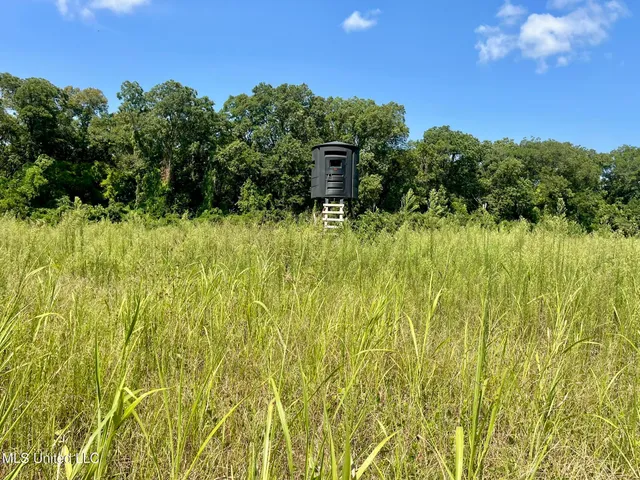 $1,250,000 | Bolivar Road, Benoit, MS 38725