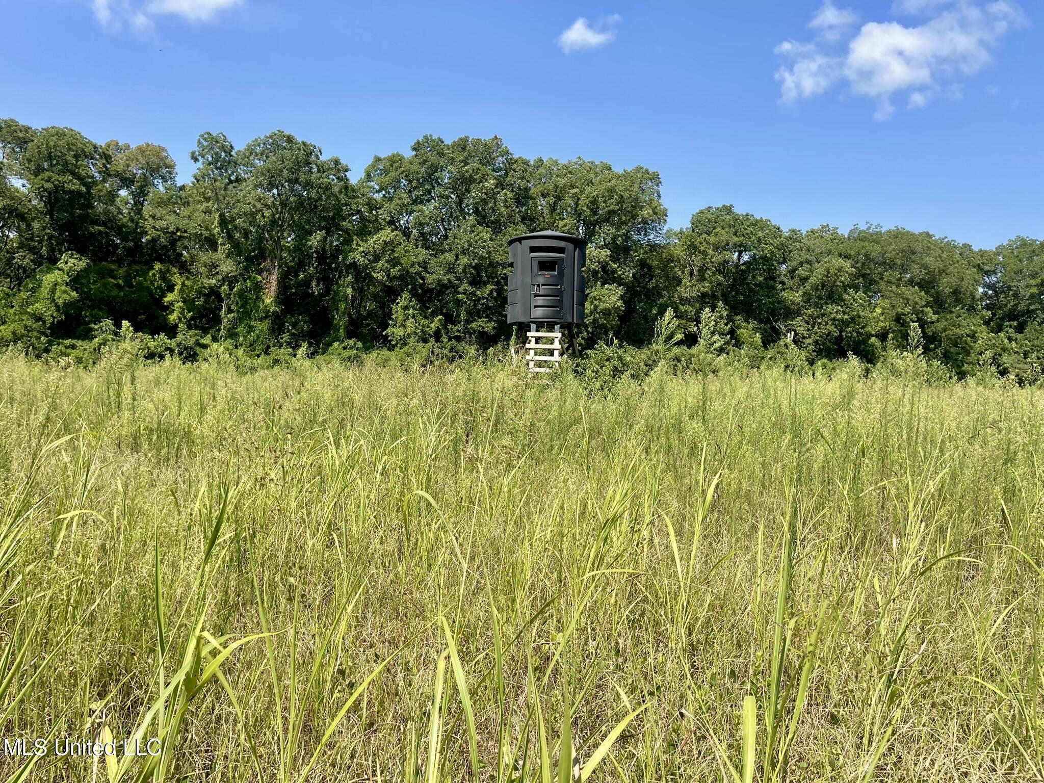 Bolivar Road Benoit, MS 38725 - Photo 101 of 112 IMG_5088