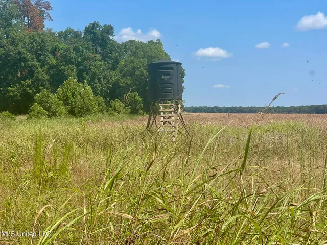 $1,250,000 | Bolivar Road, Benoit, MS 38725