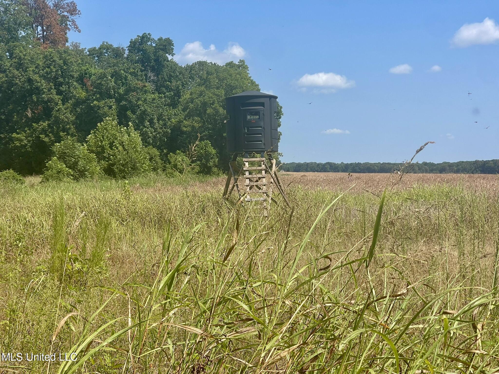 Bolivar Road Benoit, MS 38725 - Photo 102 of 112 IMG_5095