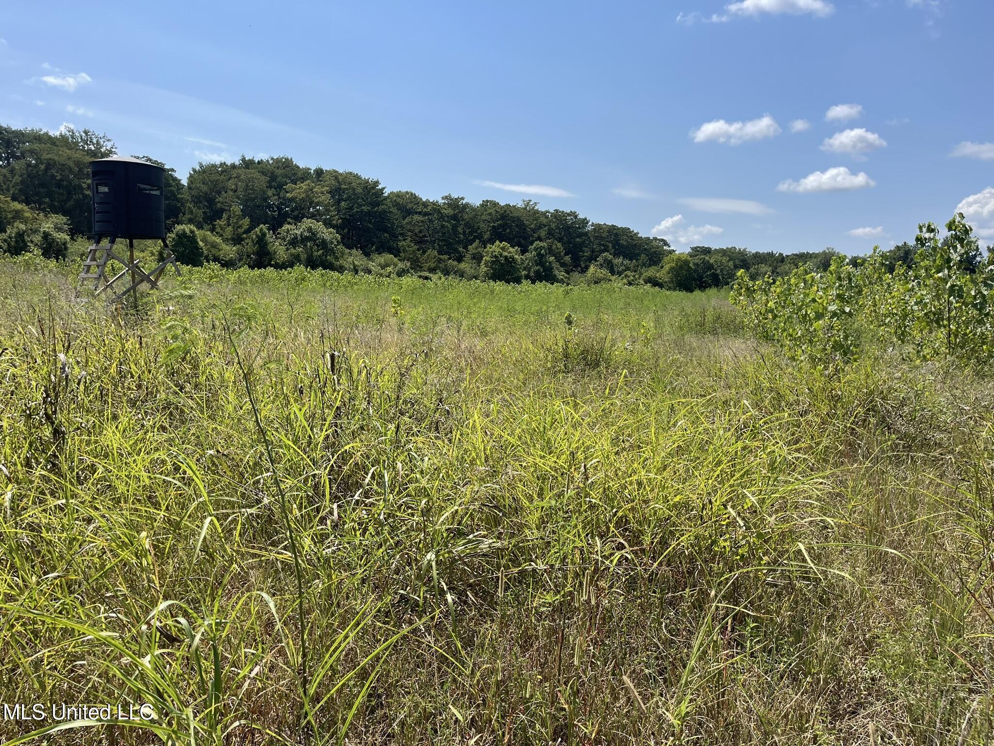 Bolivar Road Benoit, MS 38725 - Photo 103 of 112 IMG_5098