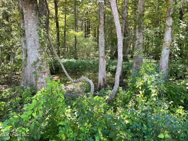 $1,250,000 | Bolivar Road, Benoit, MS 38725