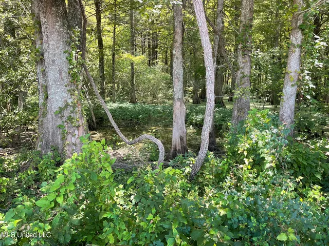 $1,250,000 | Bolivar Road, Benoit, MS 38725