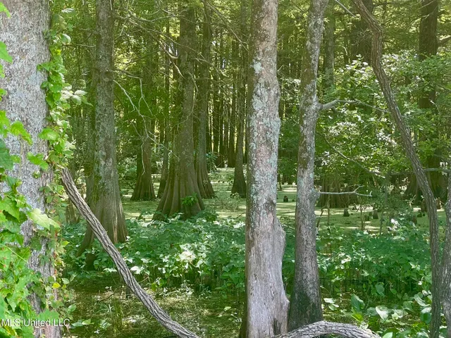 $1,250,000 | Bolivar Road, Benoit, MS 38725