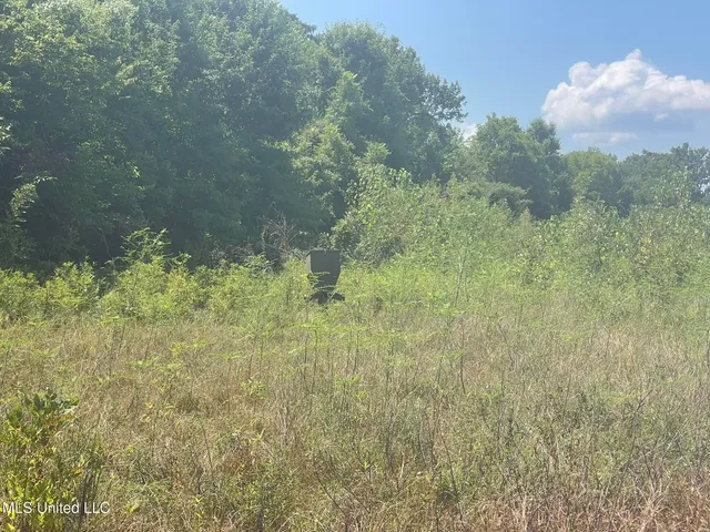 $1,250,000 | Bolivar Road, Benoit, MS 38725