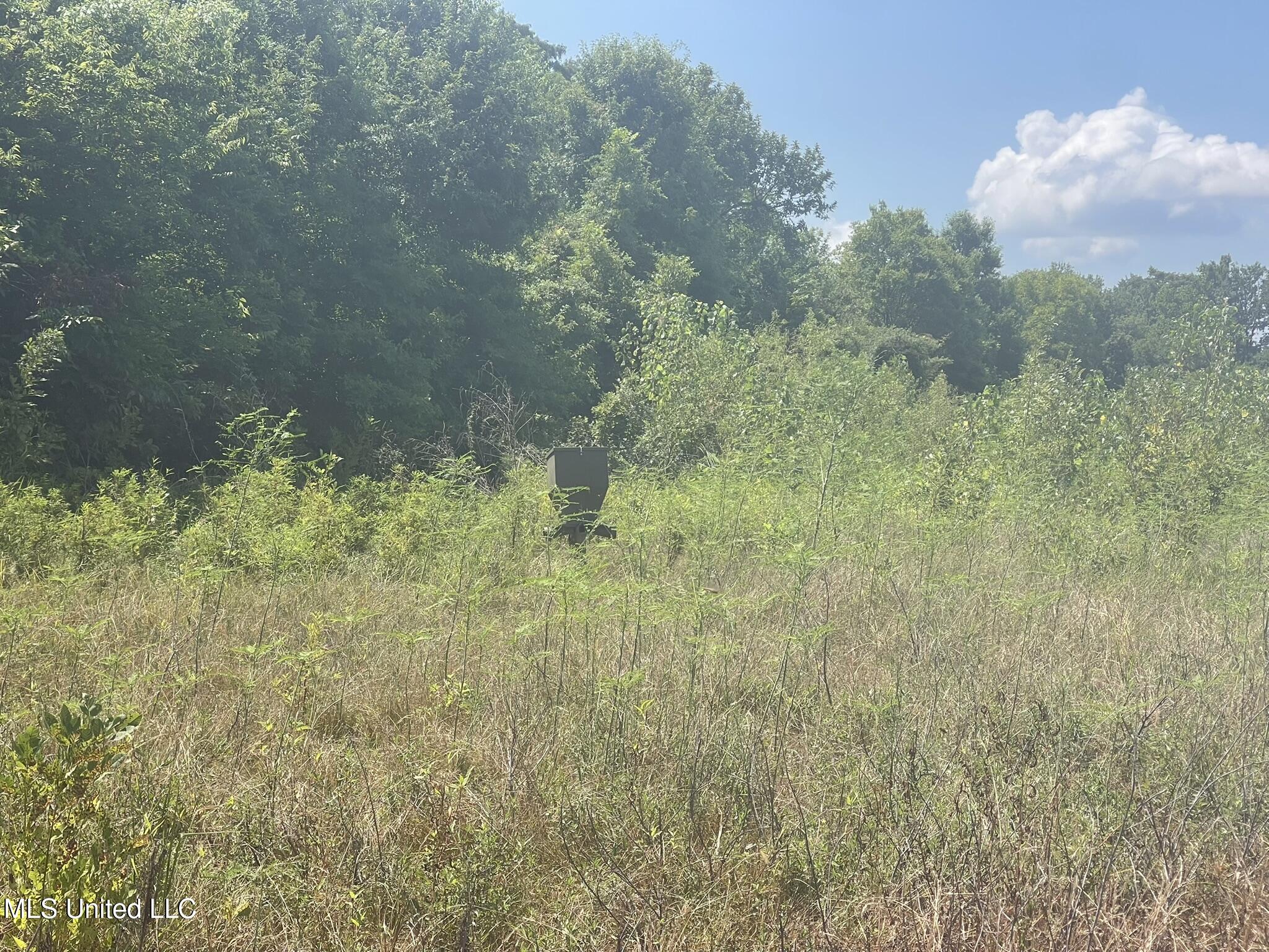 Bolivar Road Benoit, MS 38725 - Photo 106 of 112 IMG_5102