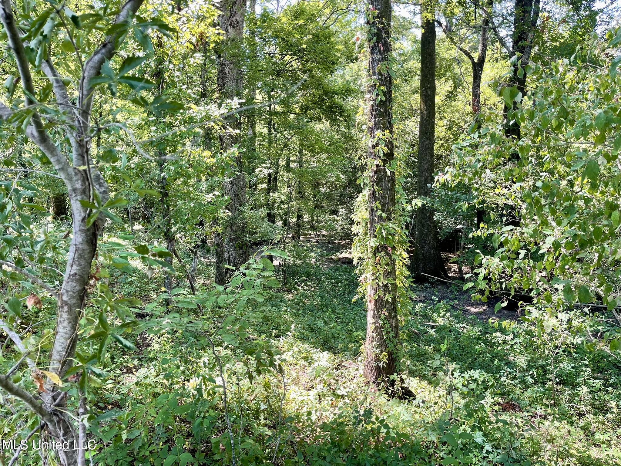 Bolivar Road Benoit, MS 38725 - Photo 107 of 112 IMG_5105