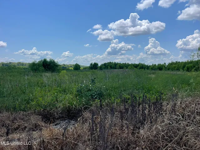 $1,250,000 | Bolivar Road, Benoit, MS 38725