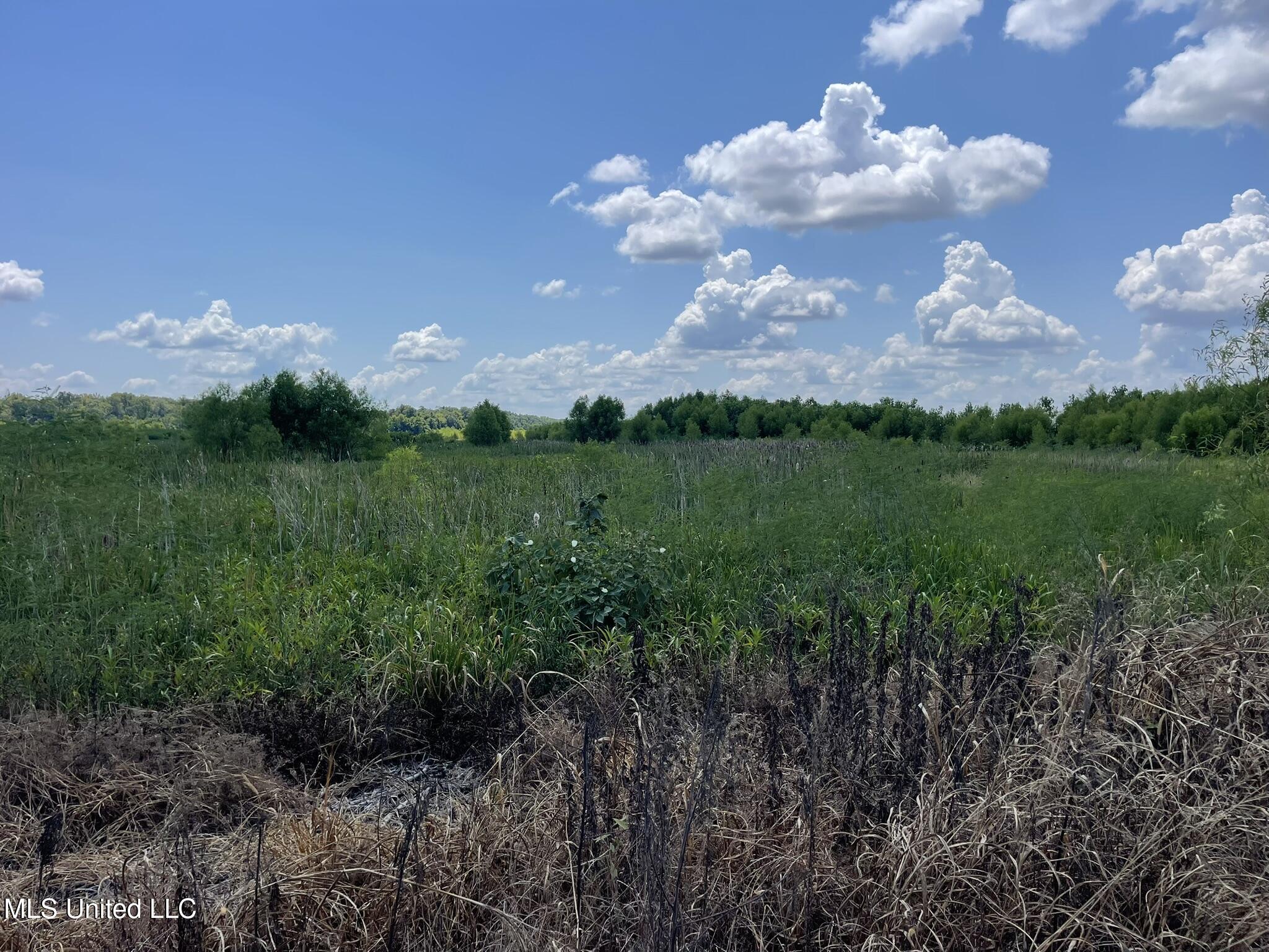 Bolivar Road Benoit, MS 38725 - Photo 109 of 112 IMG_5113