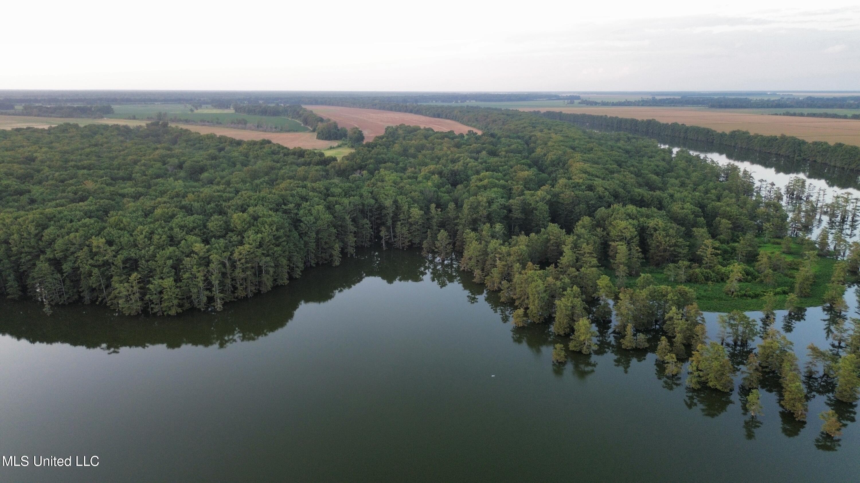 Bolivar Road Benoit, MS 38725 - Photo 13 of 112 dji_fly_20250803_225910_461_175447725518