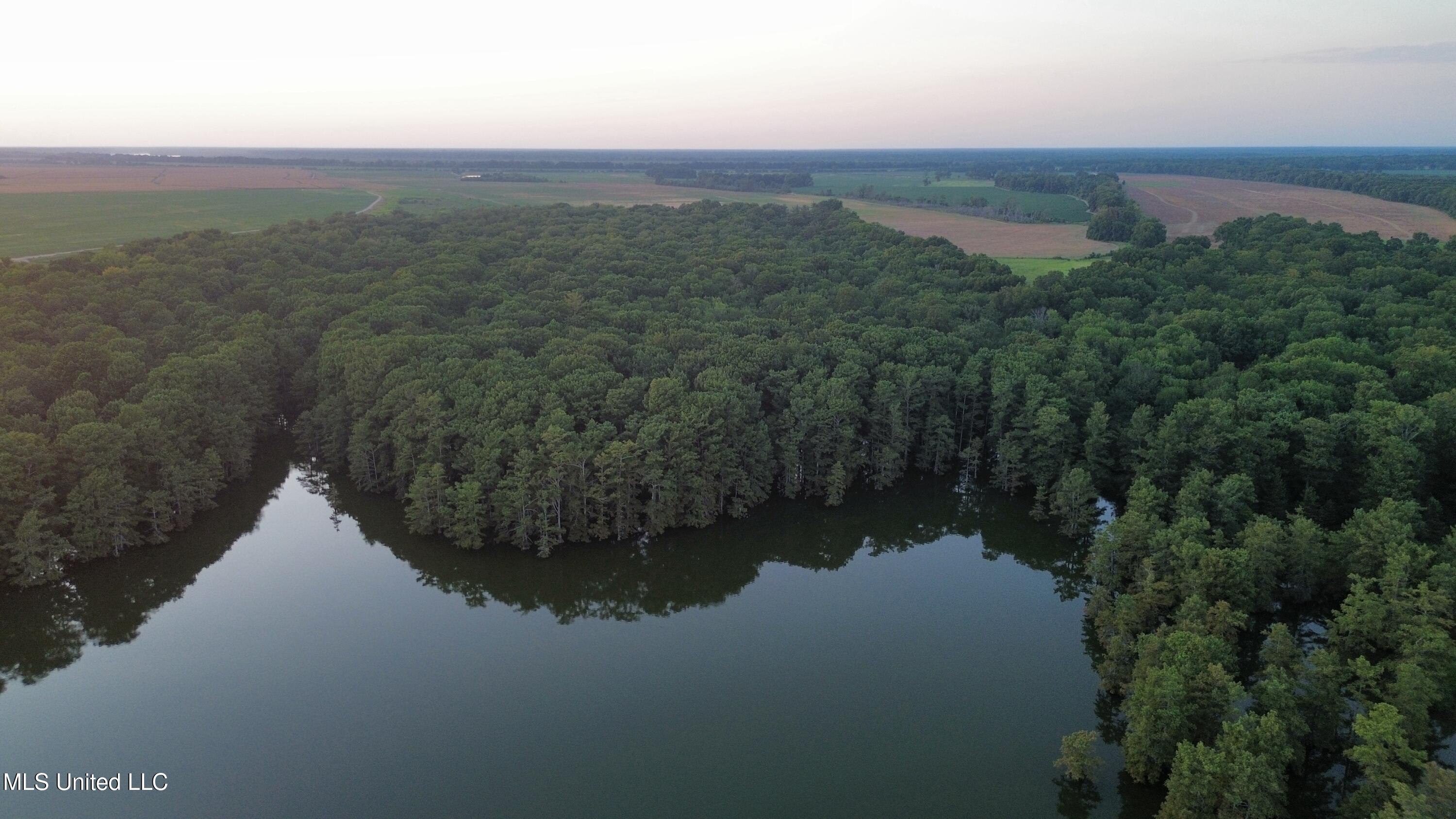 Bolivar Road Benoit, MS 38725 - Photo 15 of 112 dji_fly_20250803_225944_464_175447725379