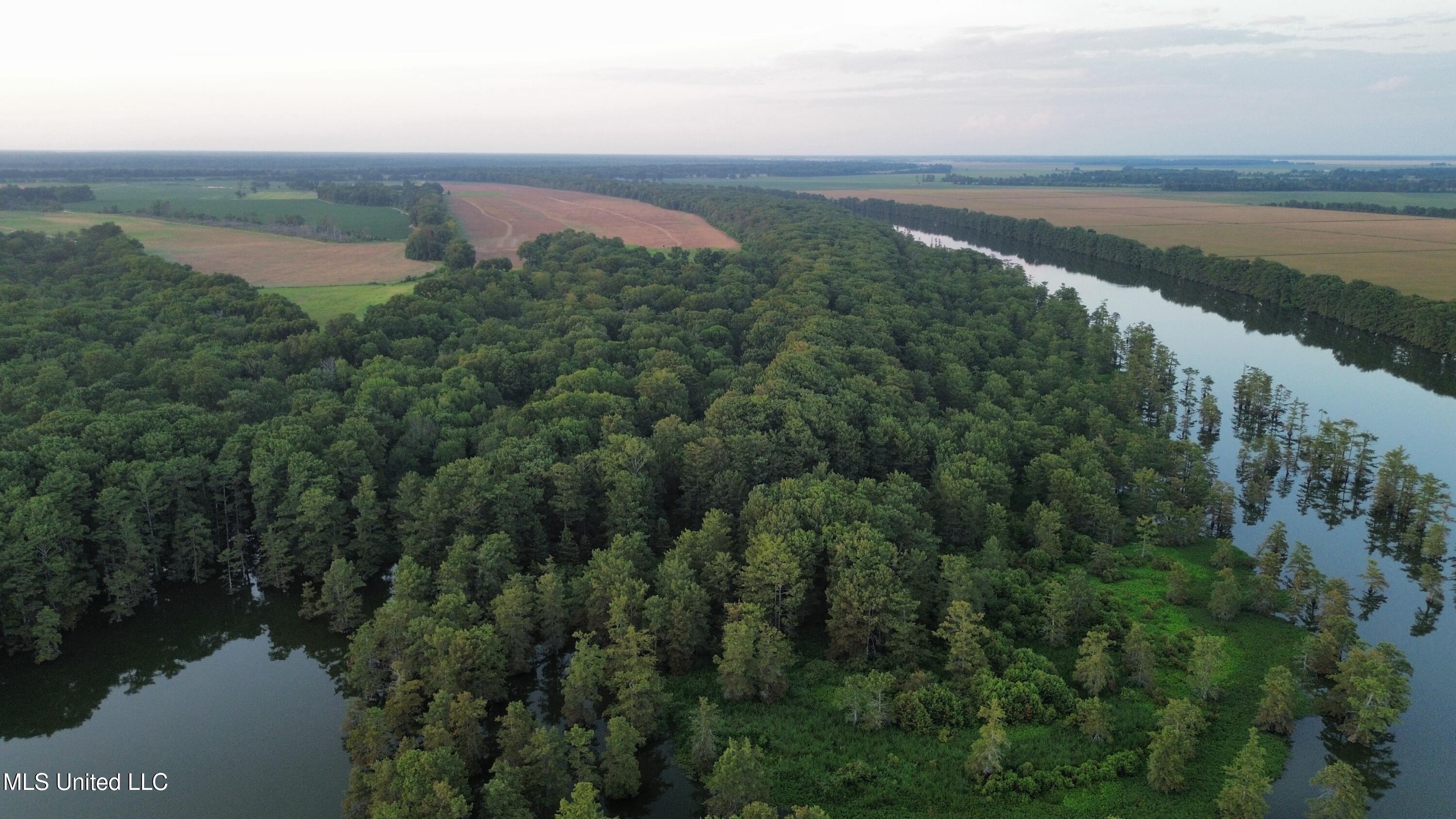 Bolivar Road Benoit, MS 38725 - Photo 16 of 112 dji_fly_20250803_225958_465_175447725335