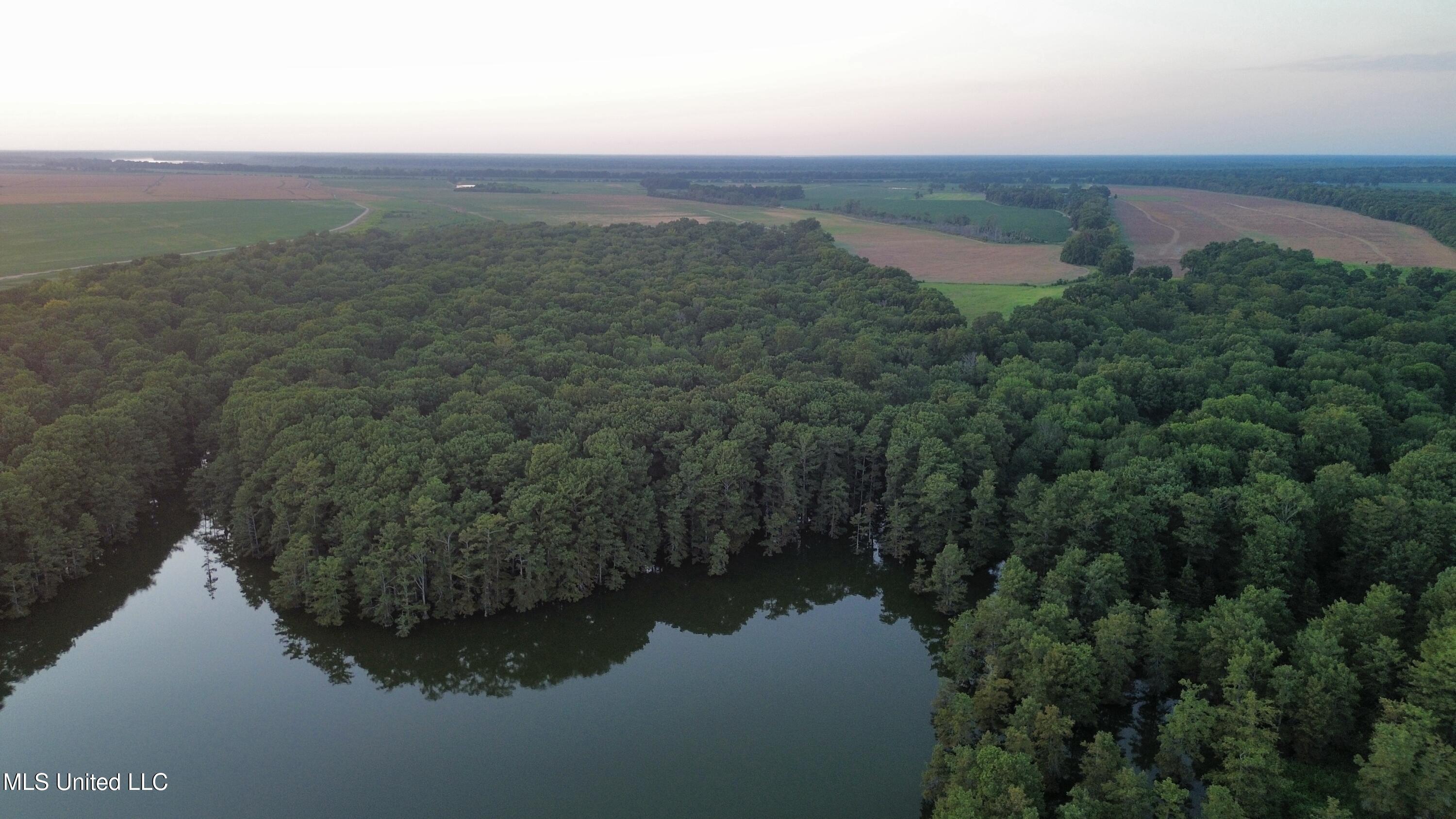 Bolivar Road Benoit, MS 38725 - Photo 17 of 112 dji_fly_20250803_230002_466_175447725290