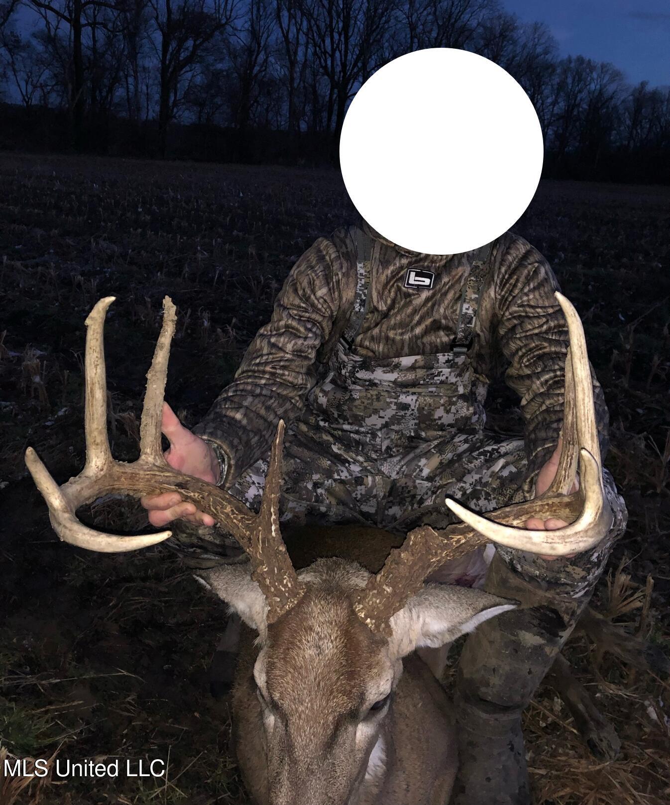 Bolivar Road Benoit, MS 38725 - Photo 25 of 112 Deer with White Circle 2