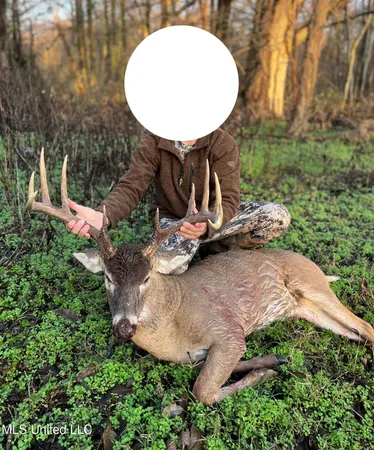 $1,250,000 | Bolivar Road, Benoit, MS 38725