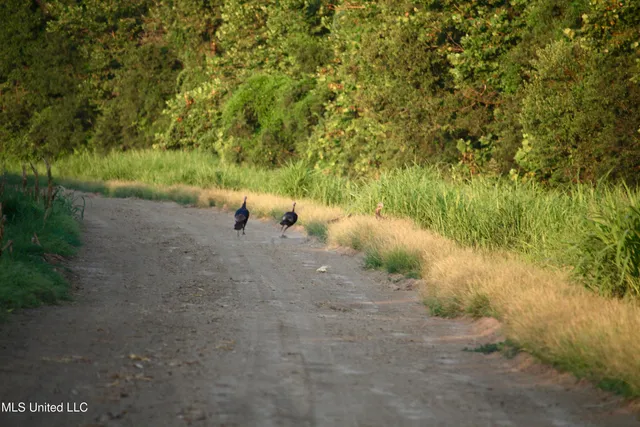 $1,250,000 | Bolivar Road, Benoit, MS 38725