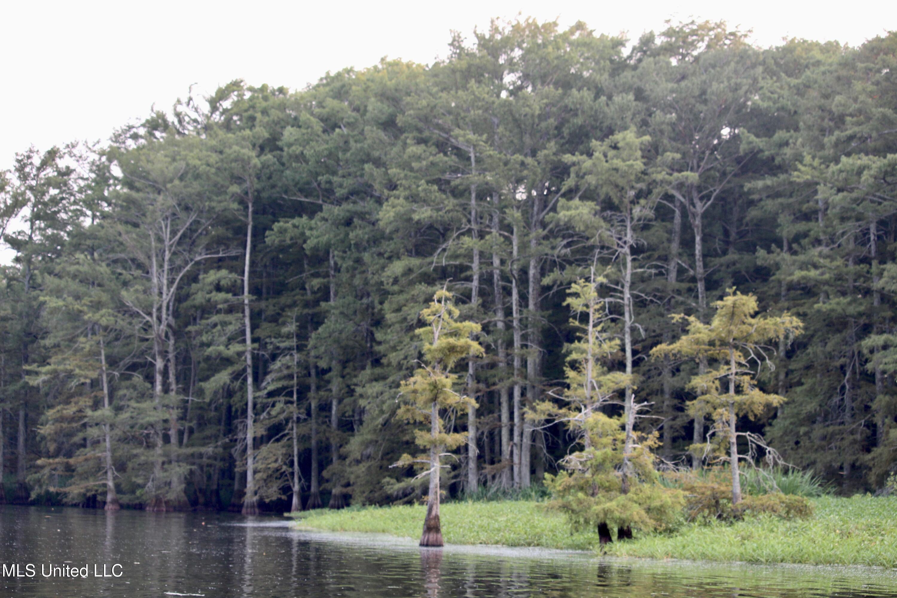 Bolivar Road Benoit, MS 38725 - Photo 30 of 112 IMG_0452